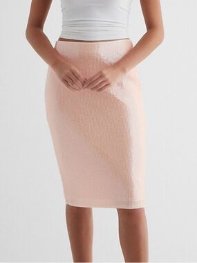 NWOT Express High Waisted Sequin Midi Pencil Skirt - Pink Sz Medium